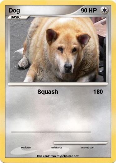 Pokemon Dog