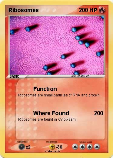 Pokemon Ribosomes