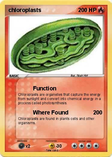 Pokemon chloroplasts