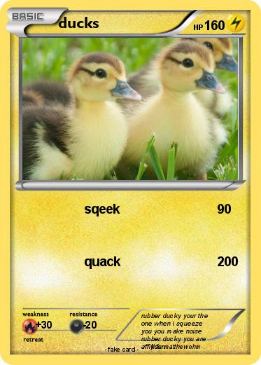 Pokemon ducks