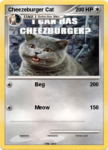 Pokemon Cheezeburger Cat