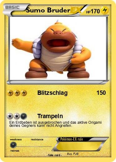 Pokemon Sumo Bruder