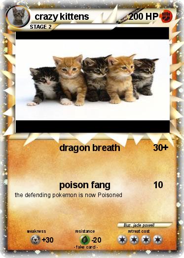 Pokemon crazy kittens