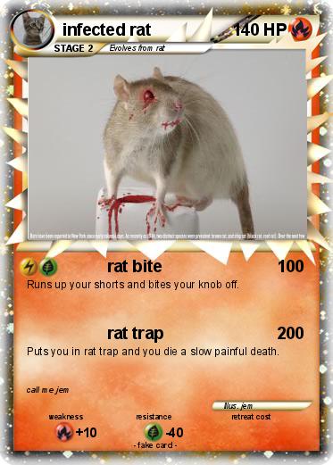 Pokemon infected rat