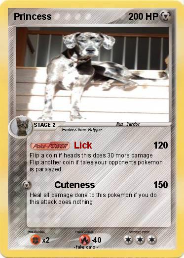 Pokemon Princess