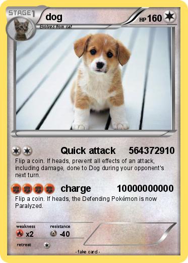 Pokemon dog