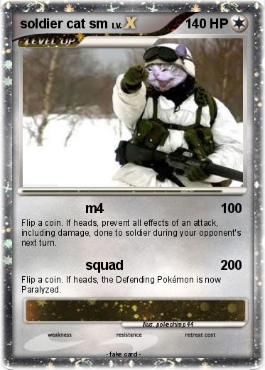 Pokemon soldier cat sm