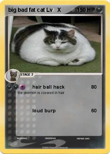 Pokemon big bad fat cat Lv   X
