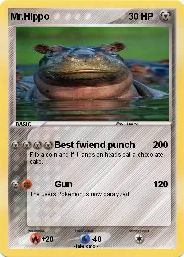 Pokemon Mr.Hippo