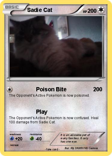 Pokemon Sadie Cat