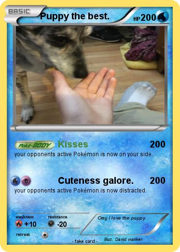 Pokemon Puppy the best.