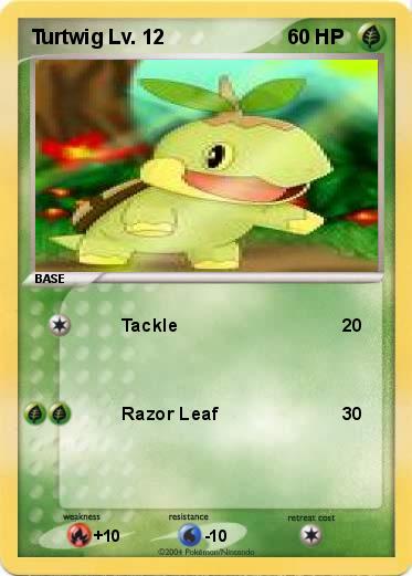 Pokemon Turtwig Lv. 12