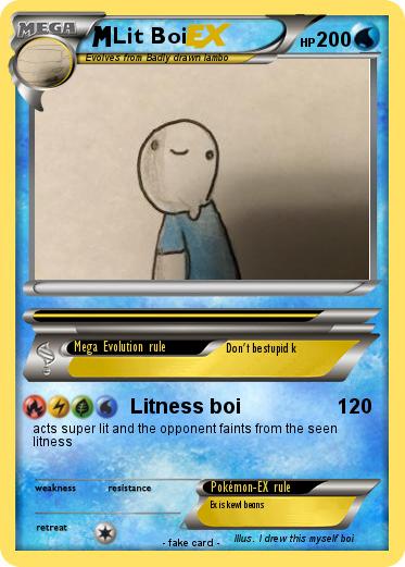 Pokemon Lit Boi