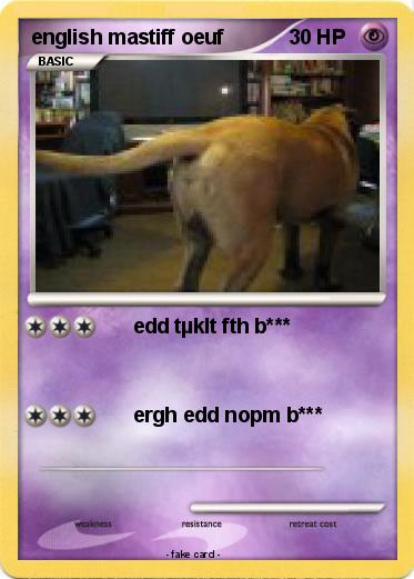 Pokemon english mastiff oeuf