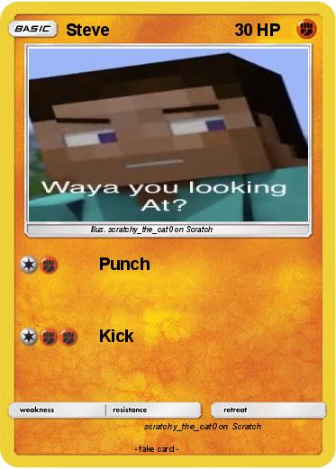 Pokemon Steve