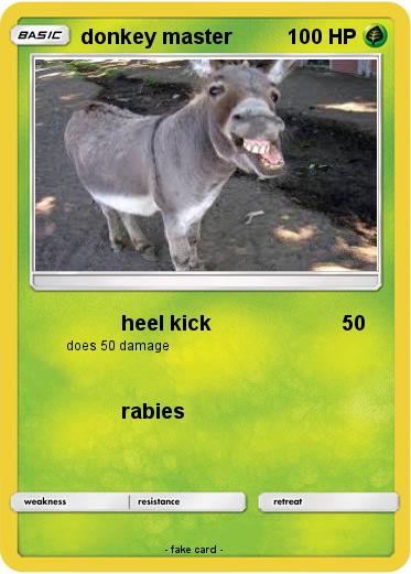Pokemon donkey master