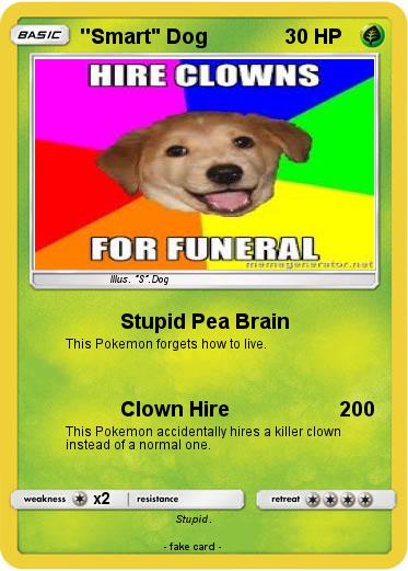 Pokemon ''Smart" Dog