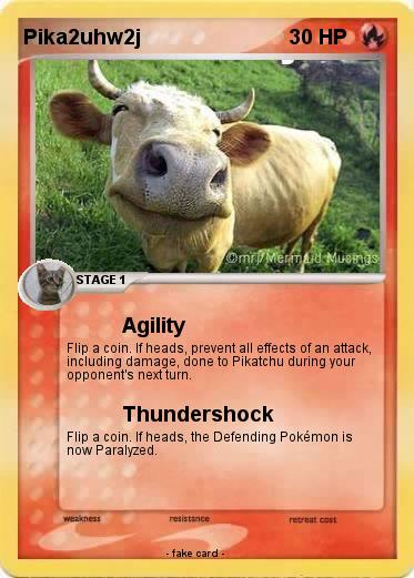 Pokemon Pika2uhw2j