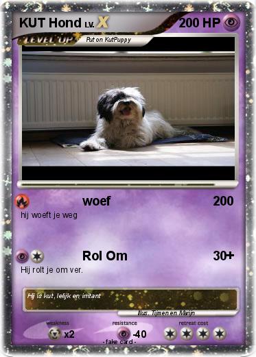 Pokemon KUT Hond