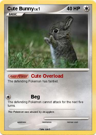 Pokemon Cute Bunny