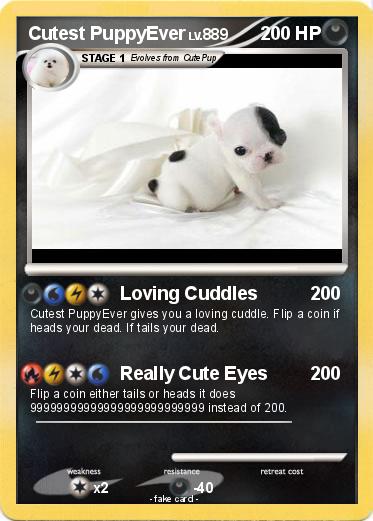 Pokemon Cutest PuppyEver
