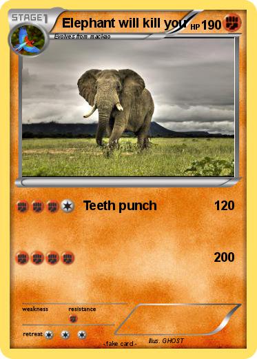 Pokemon Elephant will kill you