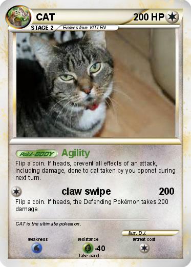 Pokemon CAT