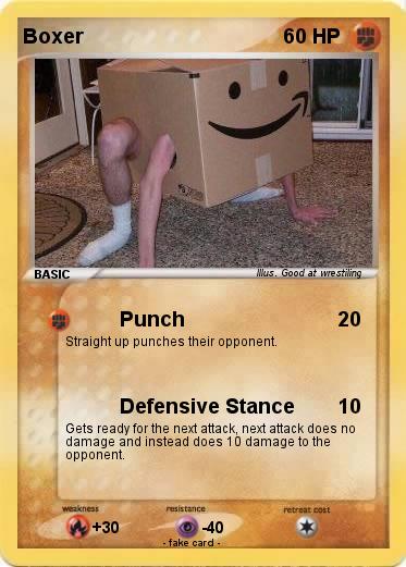 Pokemon Boxer