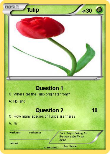 Pokemon Tulip