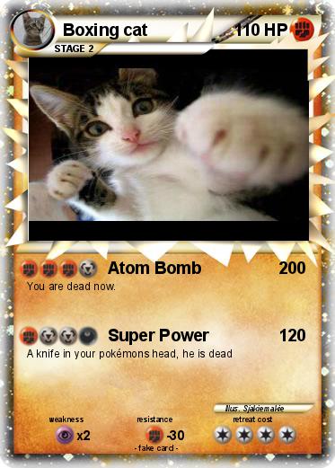 Pokemon Boxing cat