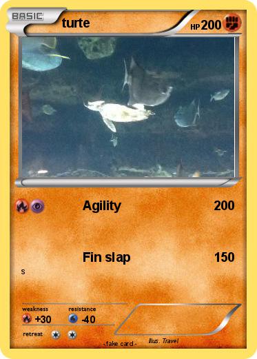 Pokemon turte