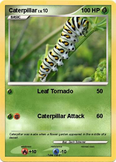 Pokemon Caterpillar