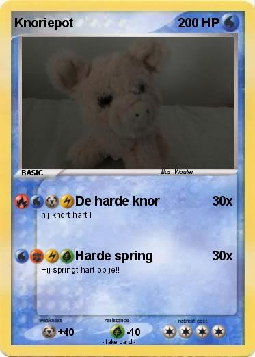 Pokemon Knoriepot