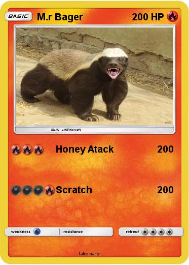 Pokemon M.r Bager