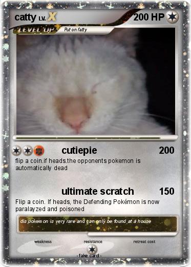 Pokemon catty