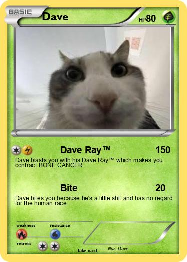 Pokemon Dave