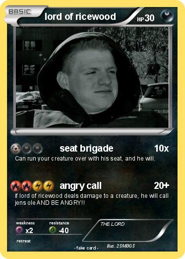 Pokemon lord of ricewood