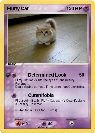 Pokemon Fluffy Cat