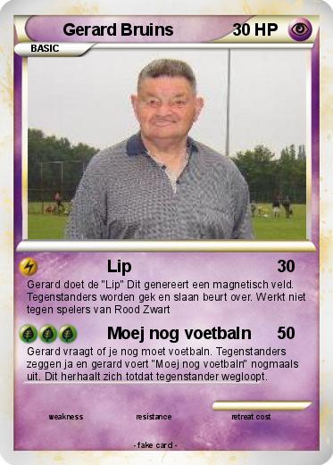 Pokemon Gerard Bruins