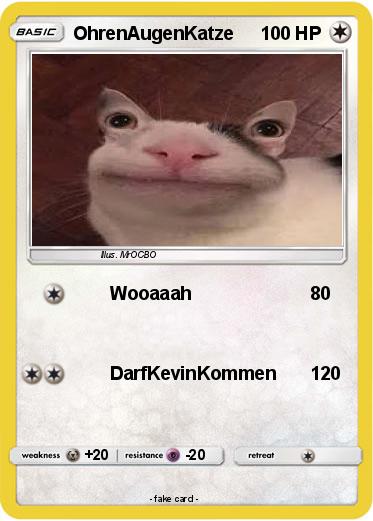 Pokemon OhrenAugenKatze