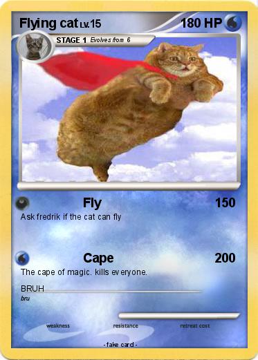 Pokemon Flying cat
