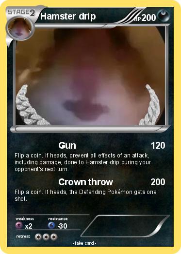 Pokemon Hamster drip