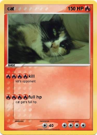 Pokemon cat