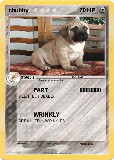 Pokemon chubby