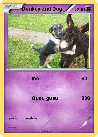 Pokemon Donkey and Dog