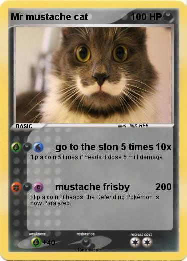 Pokemon Mr mustache cat
