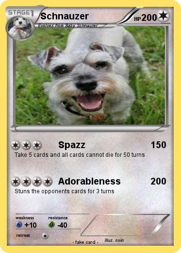 Pokemon Schnauzer