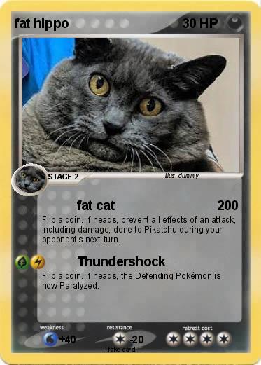 Pokemon fat hippo