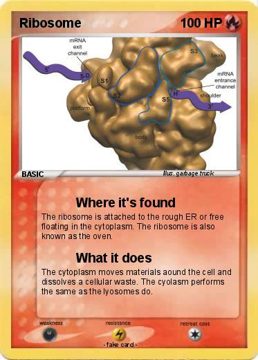 Pokemon Ribosome