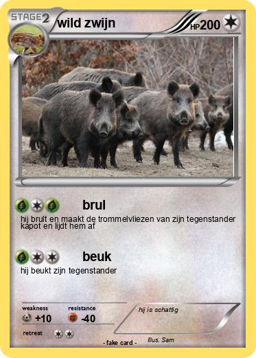 Pokemon wild zwijn